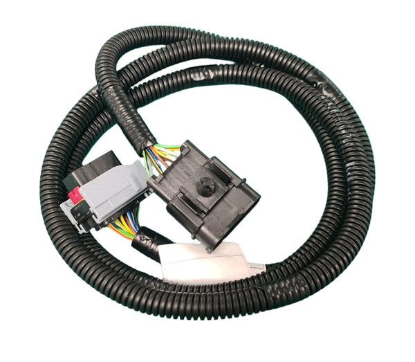 Rear Lamp wiring Loom - Ducato Pick up 2006>