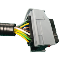 Rear Lamp wiring Loom - Ducato Pick up 2006>
