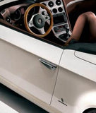 Outer Door Handle - Spider