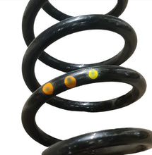 Front Suspension Coil Spring - Brera & Spider