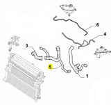 Coolant Hose - Giulia 2.9