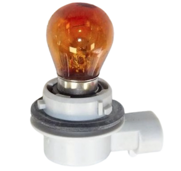 Front Indicator Bulb & Holder - 500X & Renegade