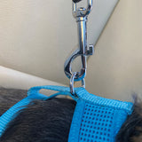 Dog Seat Belt Travel Strap