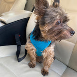 Dog Seat Belt Travel Strap