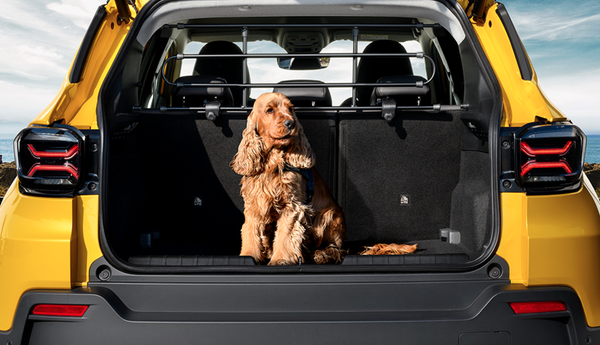 Jeep Avenger Dog Guard, Plastic