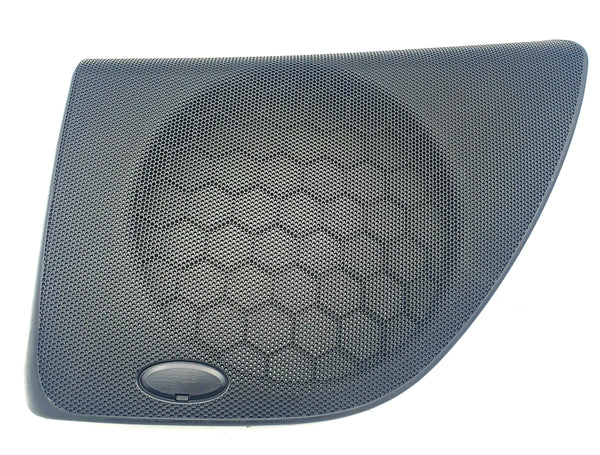 156029031 Speaker Cover - Thesis