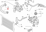 Radiator Pipe - Grand Punto Abarth 50902210